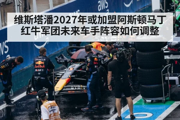 Red Bull F1 team